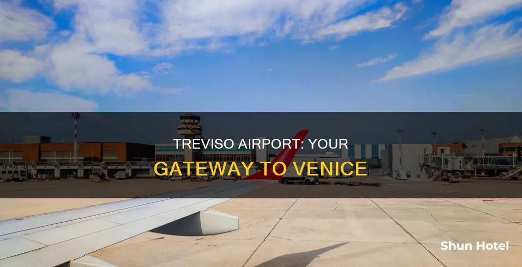 where is treviso airport in venice