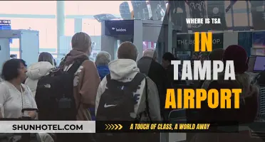 Tampa Airport TSA: Location and Tips