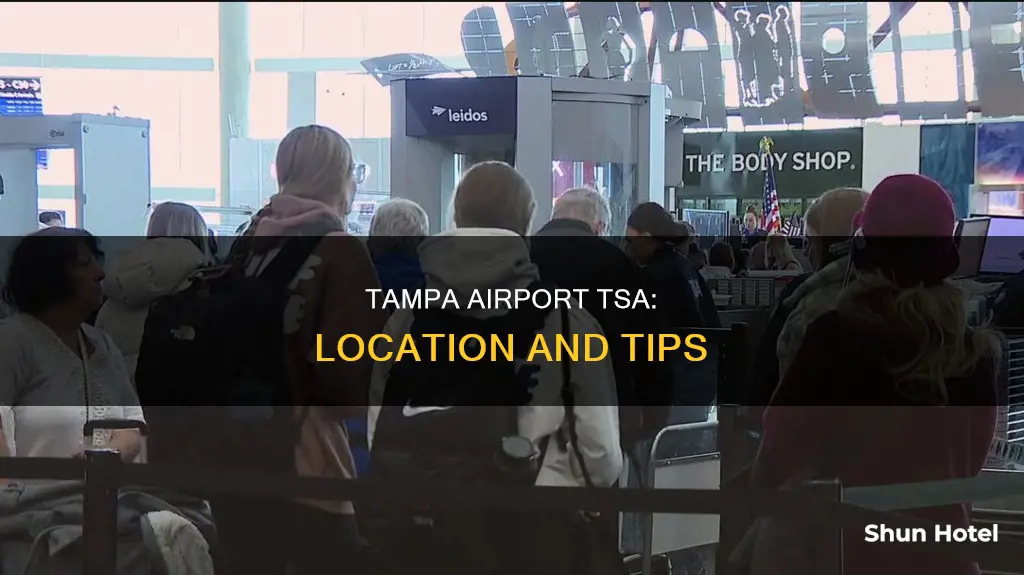 where is tsa in tampa airport