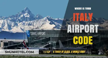 Turin Airport Code: What You Need to Know