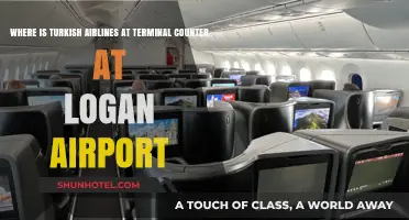 Exploring Logan Airport: Turkish Airlines Terminal Counter Guide