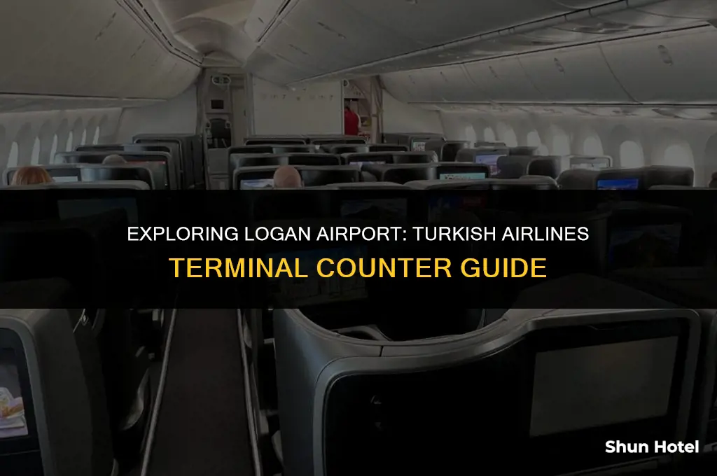 where is turkish airlines at terminal counter at logan airport