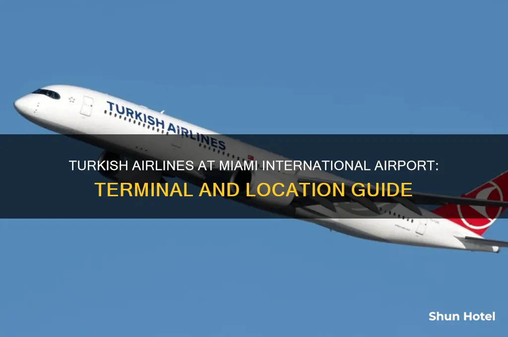 where is turkish airlines miami international airport