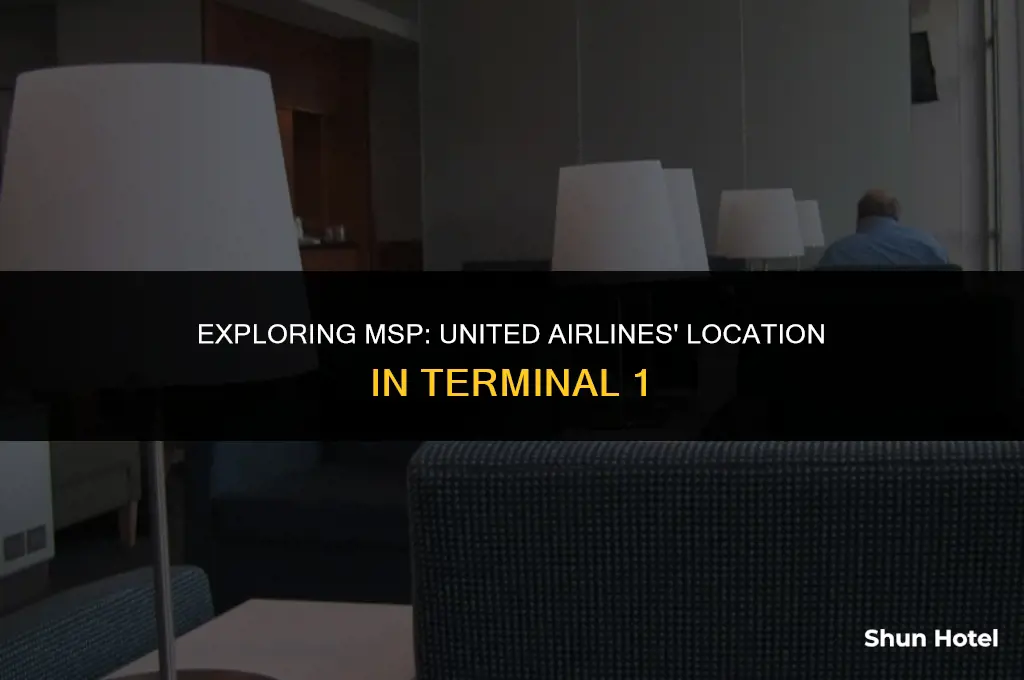 where is united airlines at minneapolis airport terminal 1