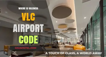 Valencia Airport Code: What's the VLC Mean?