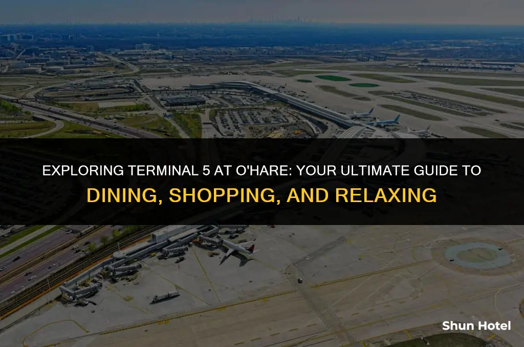 where on terminal 5 at o