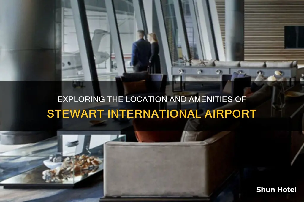 where steward international airport