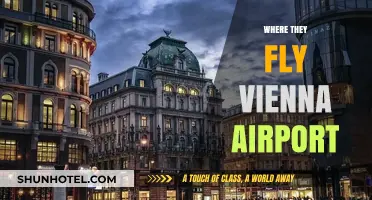 Where They Fly: Exploring Destinations from Vienna International Airport