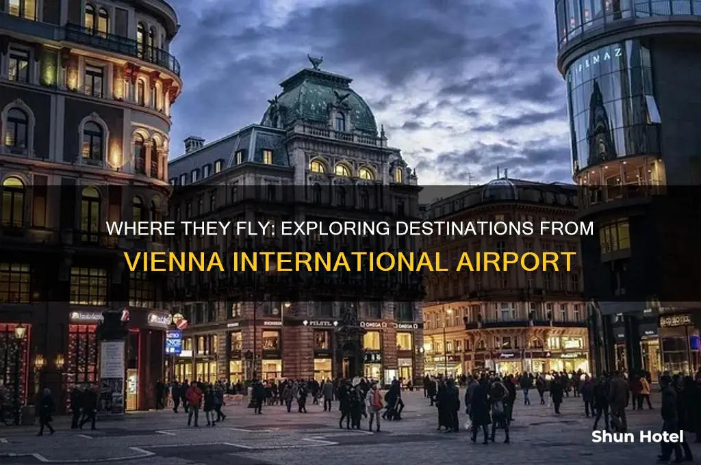 where they fly vienna airport