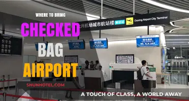 Airport Checked Bag: Where to Bring It