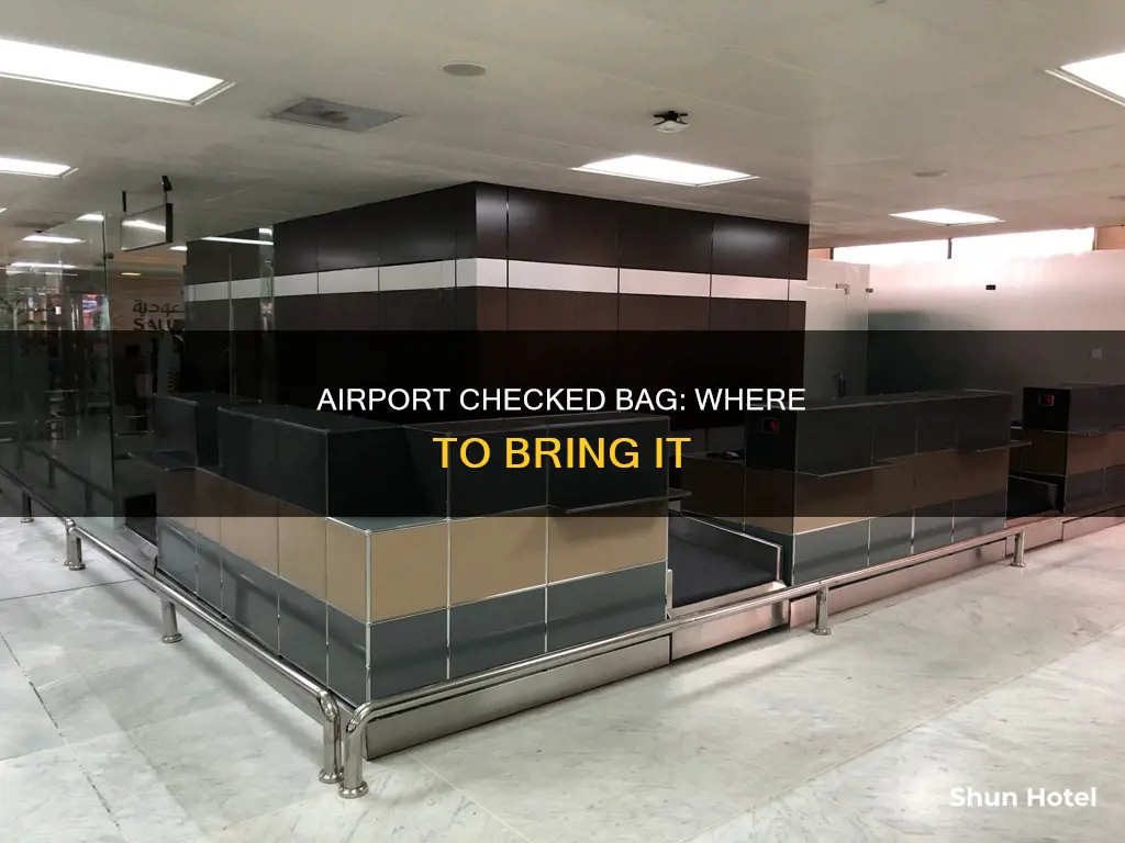 where to bring checked bag airport