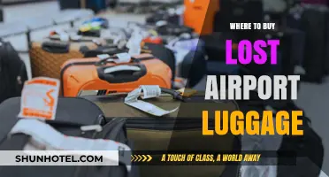 Lost Luggage Auctions: Where to Buy Unclaimed Airport Bags