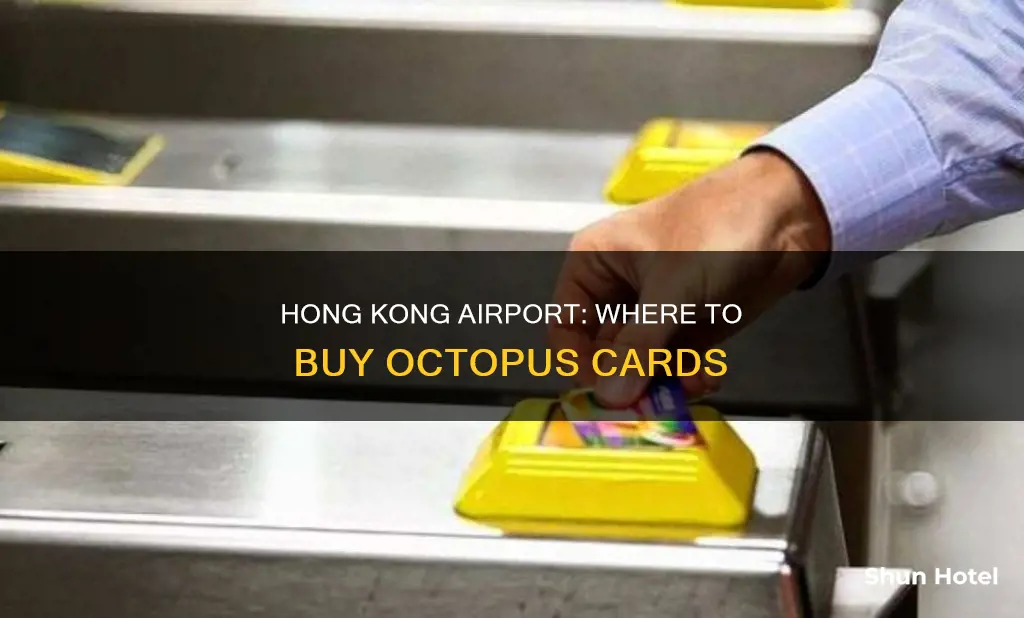 where to buy octopus card airport