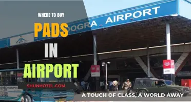 Traveler's Guide: Finding Pads at Airports