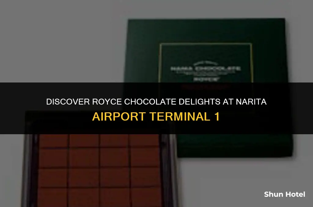 where to buy royce chocolate in narita airport terminal 1