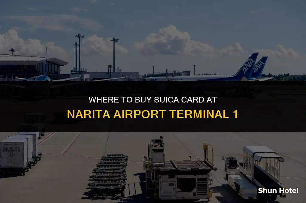 where to buy suica card at narita airport terminal 1