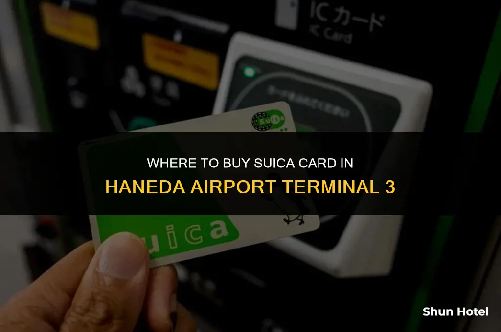 where to buy suica card in haneda airport terminal 3