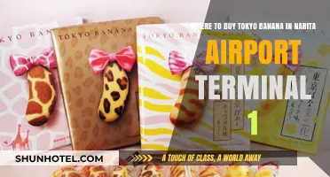Where to Find Tokyo Bananas in Narita Airport Terminal 1