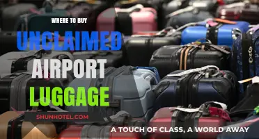 Unclaimed Airport Luggage: Where to Buy and What to Expect
