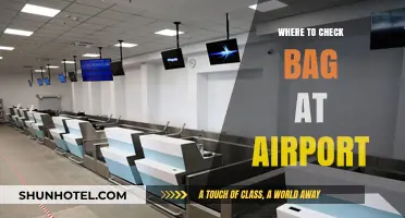 Checking Bags at the Airport: Where to Go?
