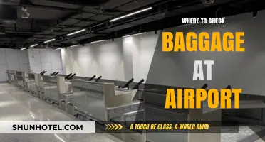 Checking Baggage: Airport Drop-off Locations