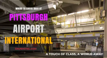 Pittsburgh International Airport Baggage Check: Locations and Tips for Travelers
