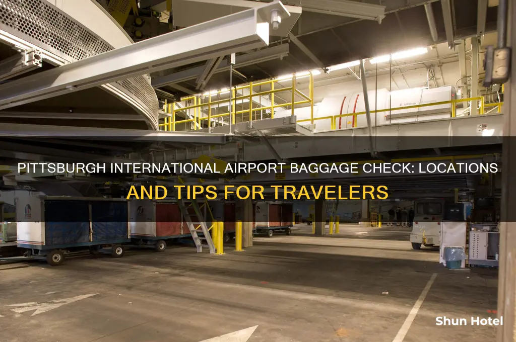 where to check bags at pittsburgh airport international