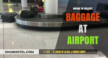 Baggage Claim: Where and How to Collect Your Luggage