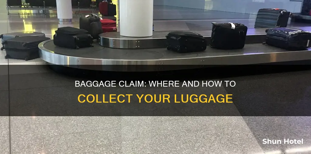 where to collect baggage at airport