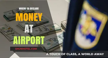 Customs Declarations: How to Declare Money at Airports