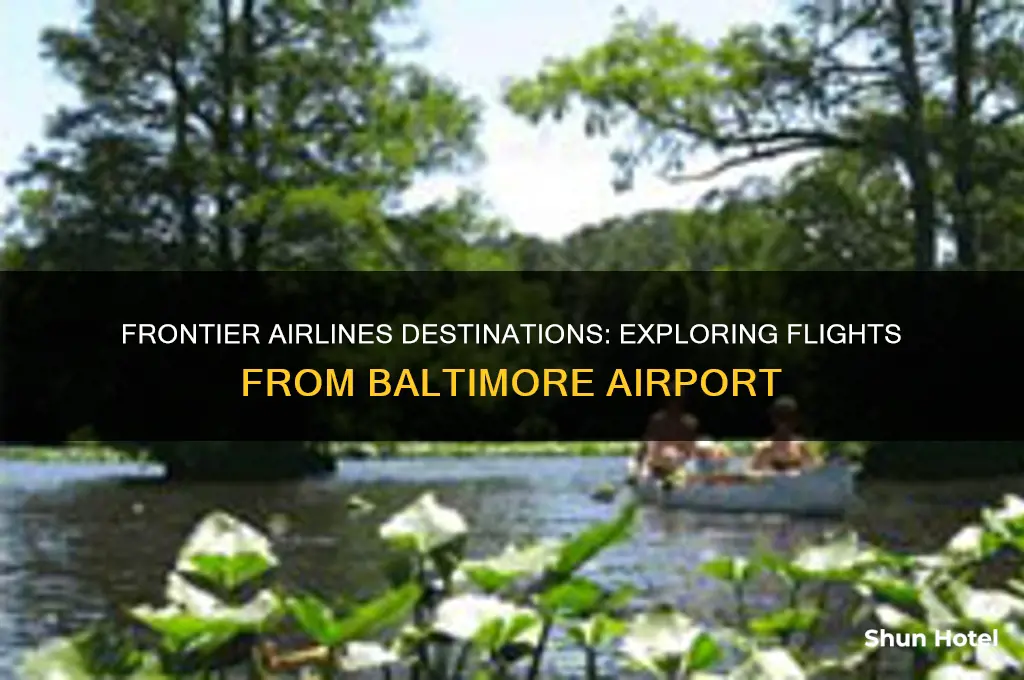 where to does frontier airlines fly from baltimore airport