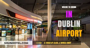 Dublin Airport Drinking Spots: A Quick Guide