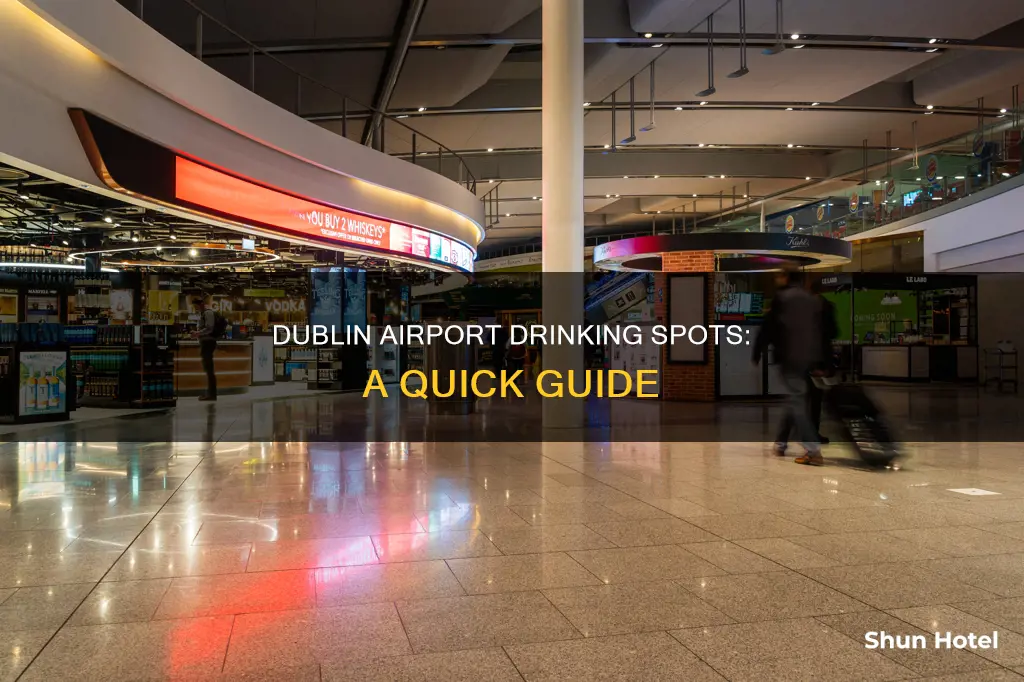 where to drink in dublin airport
