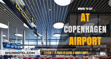 Copenhagen Airport's Best Dining Options