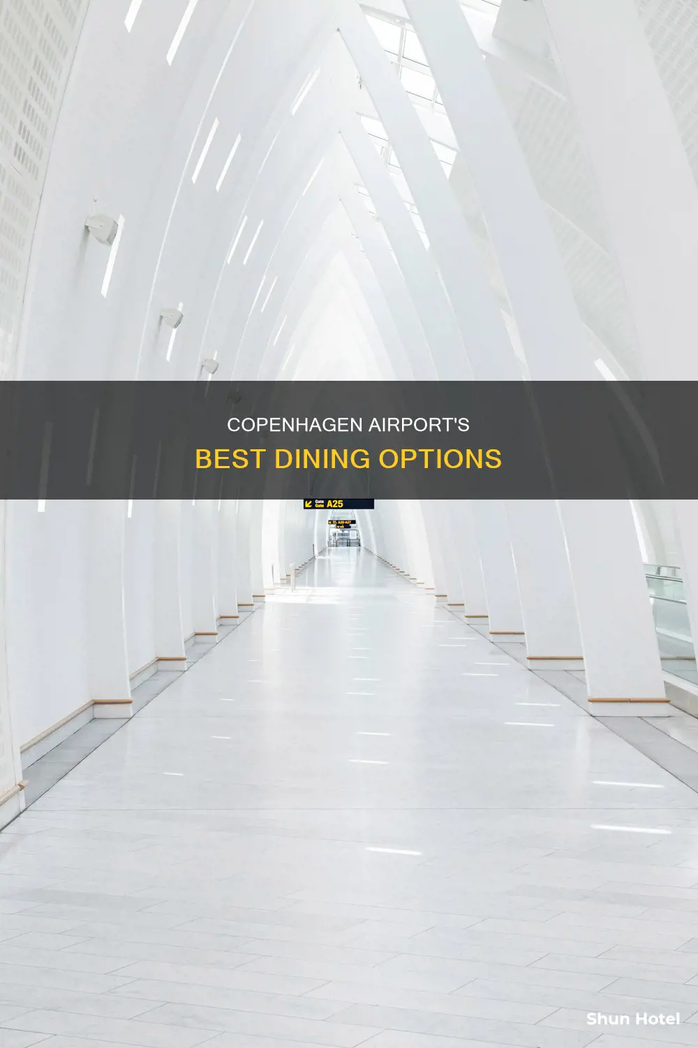where to eat at copenhagen airport
