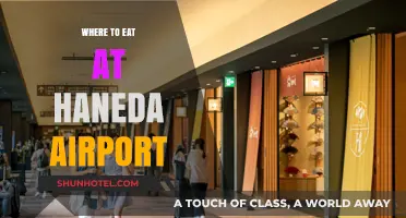 Haneda Airport's Best Dining Options