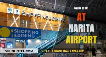 Narita Airport's Best Dining Options