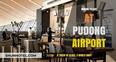 Explore Pudong Airport's Best Dining Options