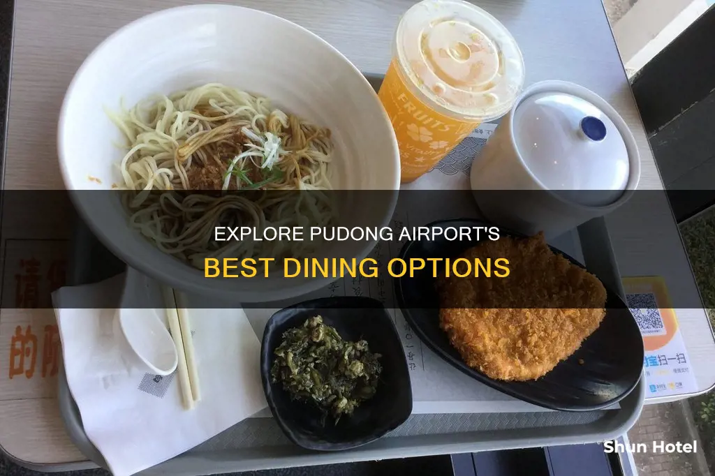 where to eat at pudong airport
