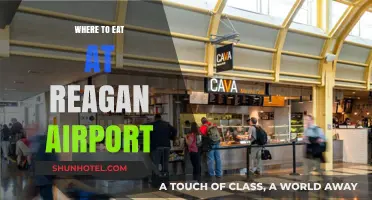 Dining Options at Reagan Airport: A Guide
