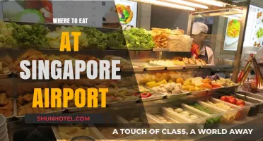 Singapore Airport's Best Eateries: A Foodie's Guide
