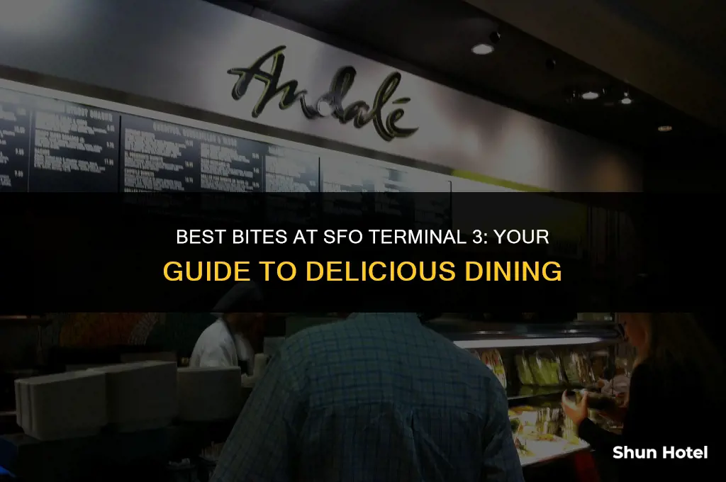where to eat at terminal 3 san francisco airport