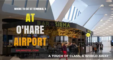 Best Bites at O'Hare's Terminal 5: A Foodie's Guide