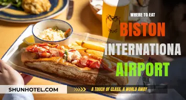 Top Dining Spots at Boston International Airport: A Foodie's Guide