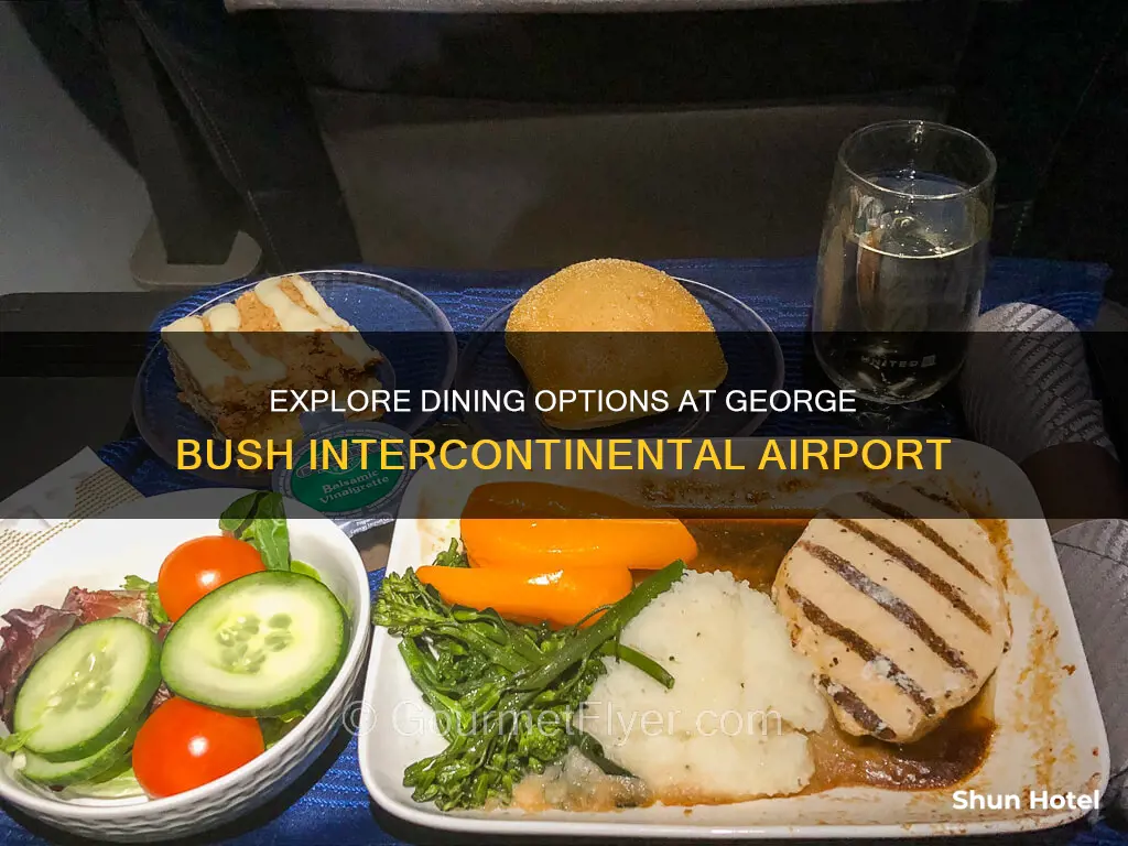 where to eat george bush airport