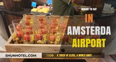 Amsterdam Airport's Best Dining Options