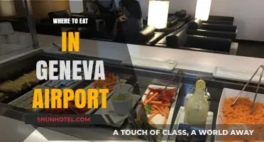Geneva Airport's Best Eateries: A Quick Guide