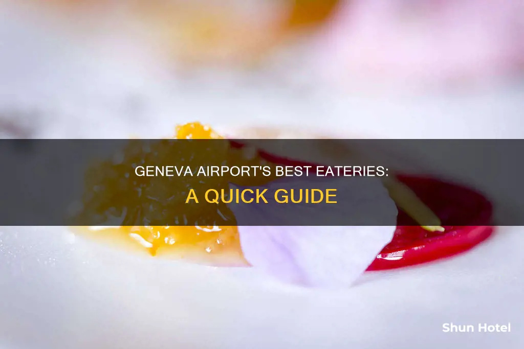 where to eat in geneva airport