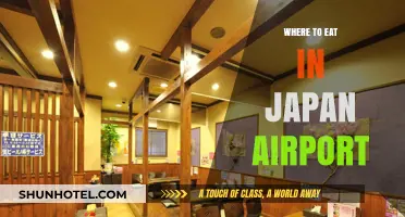 Japan Airport Food Guide: Best Eateries to Try