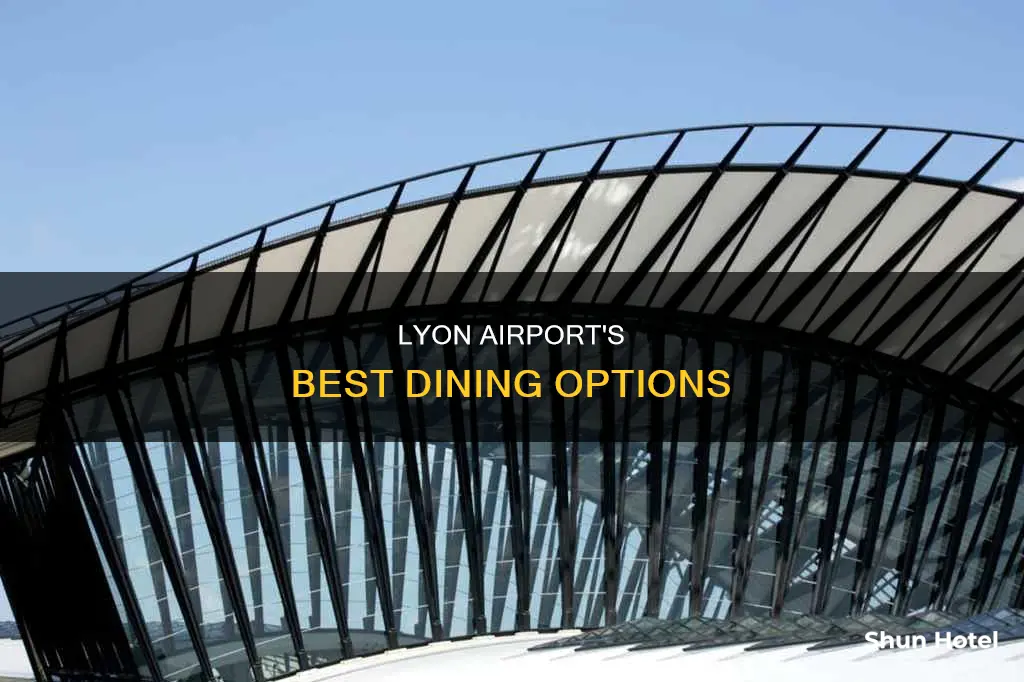 where to eat in lyon airport